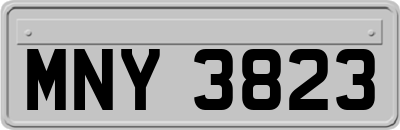 MNY3823