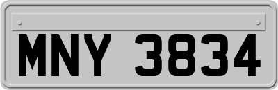 MNY3834