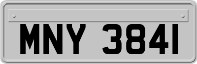 MNY3841