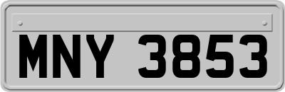MNY3853