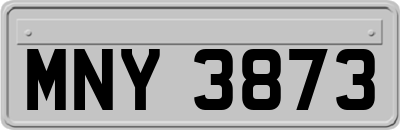 MNY3873