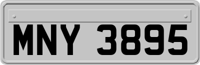 MNY3895