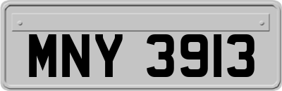 MNY3913