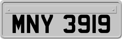 MNY3919