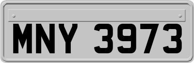 MNY3973