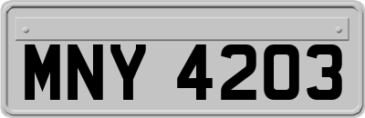 MNY4203