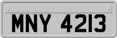 MNY4213