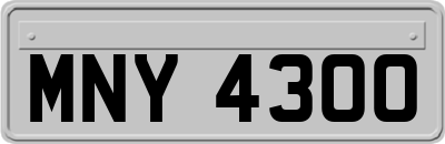 MNY4300