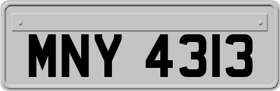 MNY4313