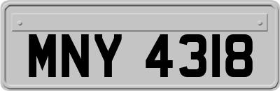 MNY4318