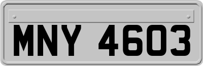 MNY4603