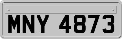 MNY4873