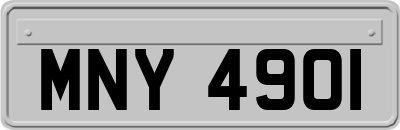 MNY4901