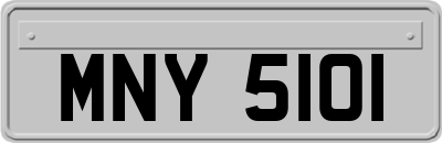 MNY5101