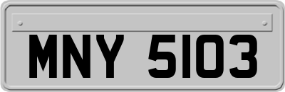 MNY5103