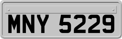 MNY5229