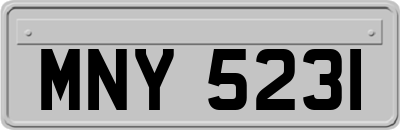 MNY5231