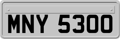 MNY5300