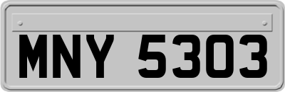 MNY5303