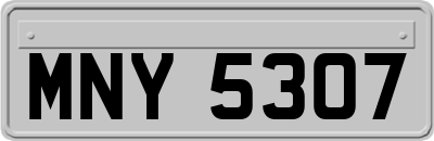 MNY5307