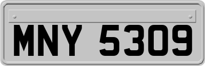 MNY5309