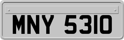 MNY5310