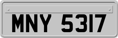 MNY5317