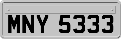 MNY5333