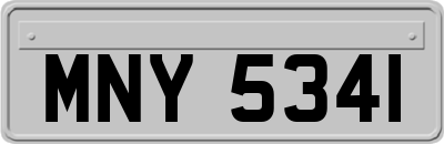 MNY5341