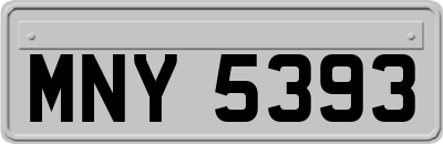 MNY5393