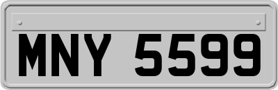 MNY5599
