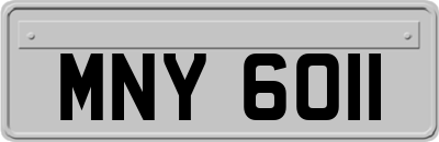 MNY6011