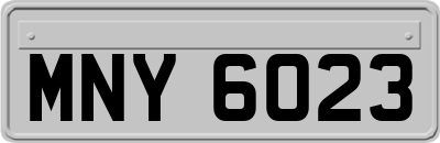 MNY6023