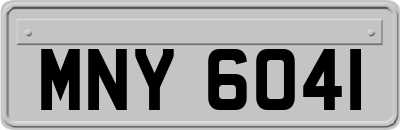 MNY6041