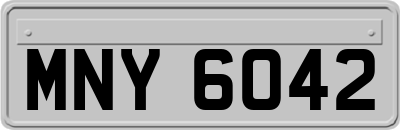 MNY6042
