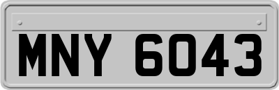 MNY6043