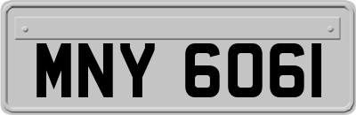 MNY6061