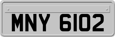 MNY6102