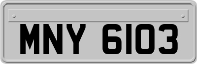 MNY6103