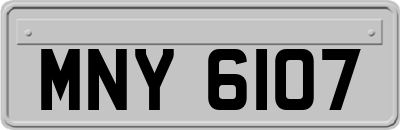 MNY6107