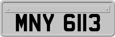 MNY6113