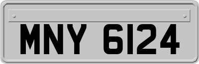 MNY6124