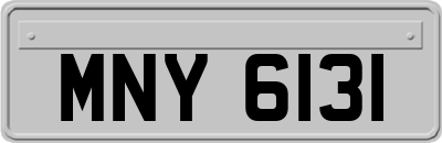 MNY6131