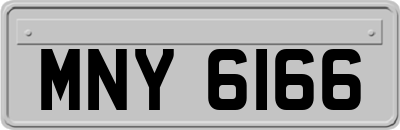 MNY6166