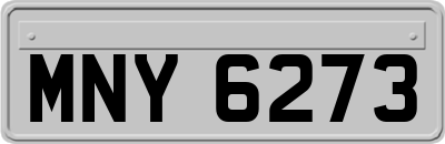 MNY6273