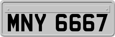 MNY6667