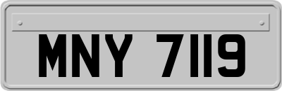 MNY7119