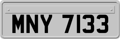 MNY7133