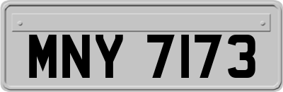 MNY7173