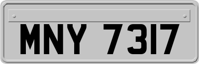 MNY7317